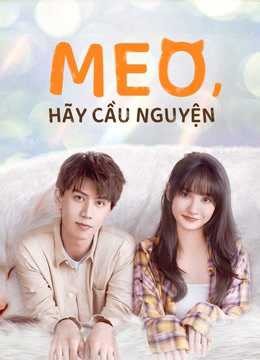 Meo, Hãy Cầu Nguyện 2020